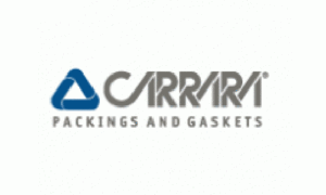 carrara-logo-DB07B53454-seeklogo.com